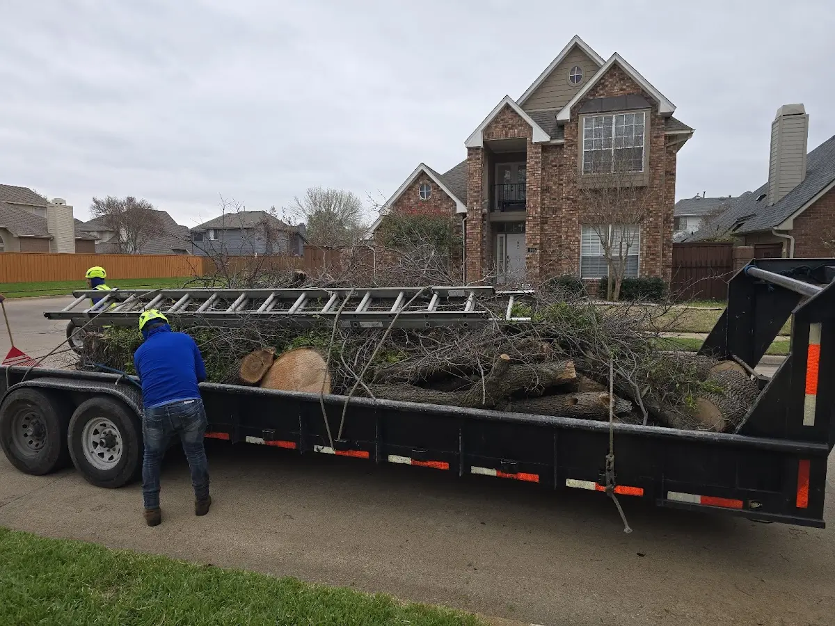 Expert Lot Clearing with proper safety equipment in Winner
